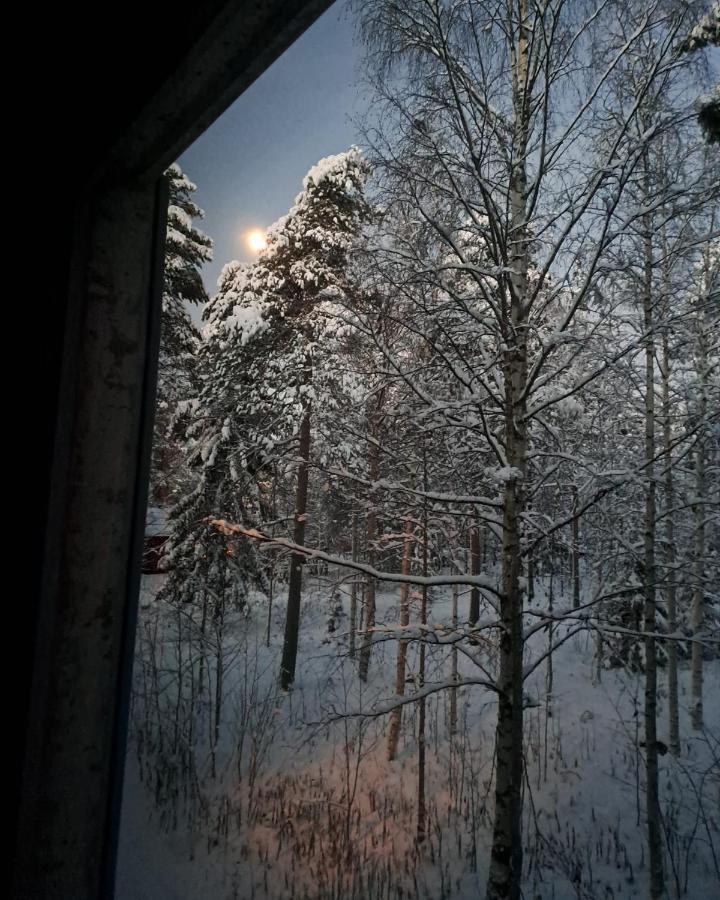 Room In Polar Circle Rovaniemi Buitenkant foto